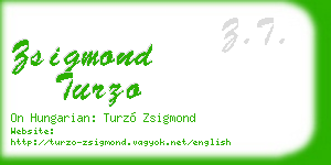 zsigmond turzo business card
